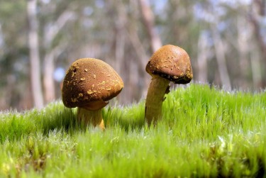 深圳福田区私人老板放款：轻松融资的秘密通道